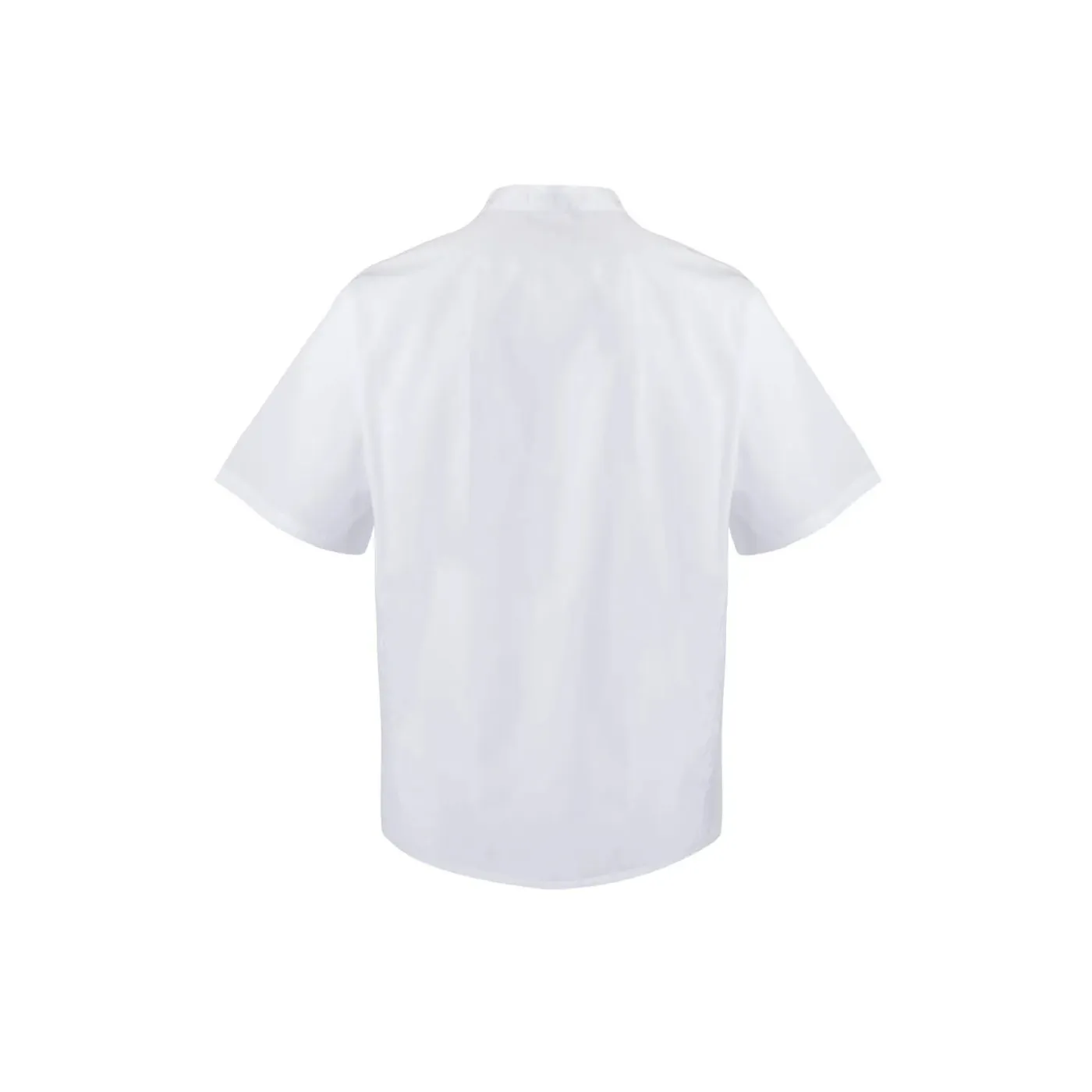 Jachetă bucătar, cu mânecă scurtă / Velilla / Îmbrăcăminte bucătari, ospătari, HoReCa