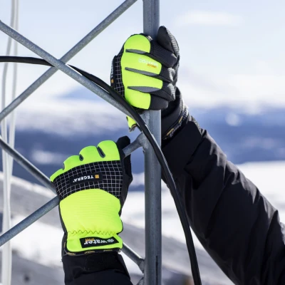 Mănuși pentru lucrări diverse TEGERA PRO 9128 / Tegera / Mănuși de izolare la frig