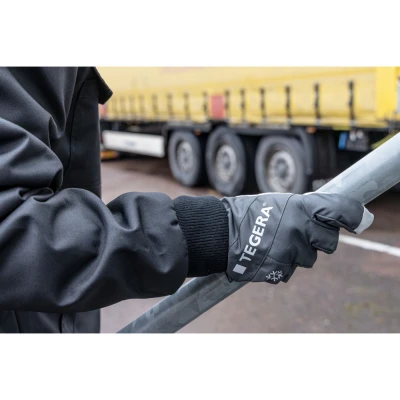 Mănuși de asamblare și izolare la frig TEGERA 287 / Tegera / Mănuși de izolare la frig