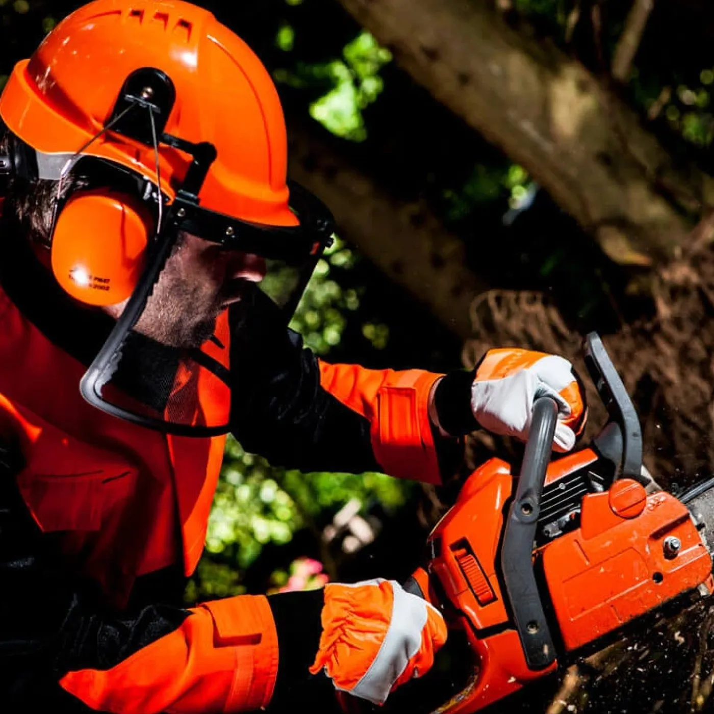 A290 - Mănuși de protecție Oak Chainsaw / Portwest / Mănuși de protecție pentru forestieri