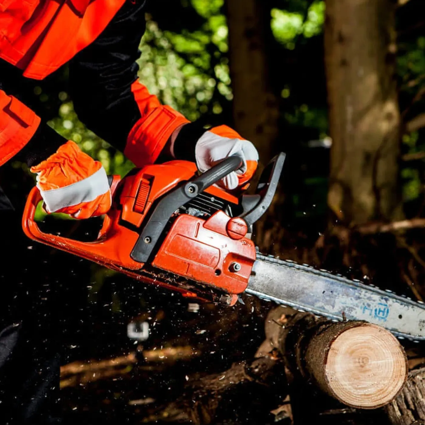 A290 - Mănuși de protecție Oak Chainsaw / Portwest / Mănuși de protecție pentru forestieri