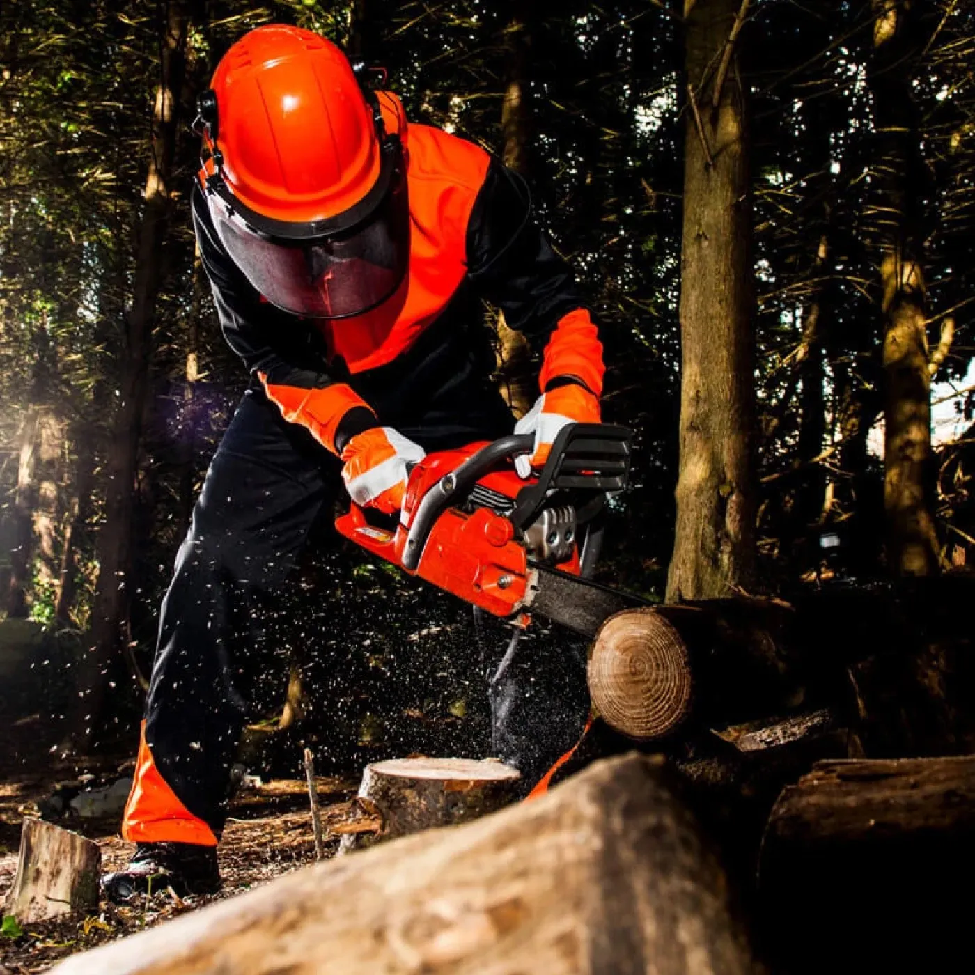 A290 - Mănuși de protecție Oak Chainsaw / Portwest / Mănuși de protecție pentru forestieri