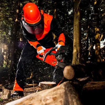 A290 - Mănuși de protecție Oak Chainsaw / Portwest / Mănuși de protecție pentru forestieri