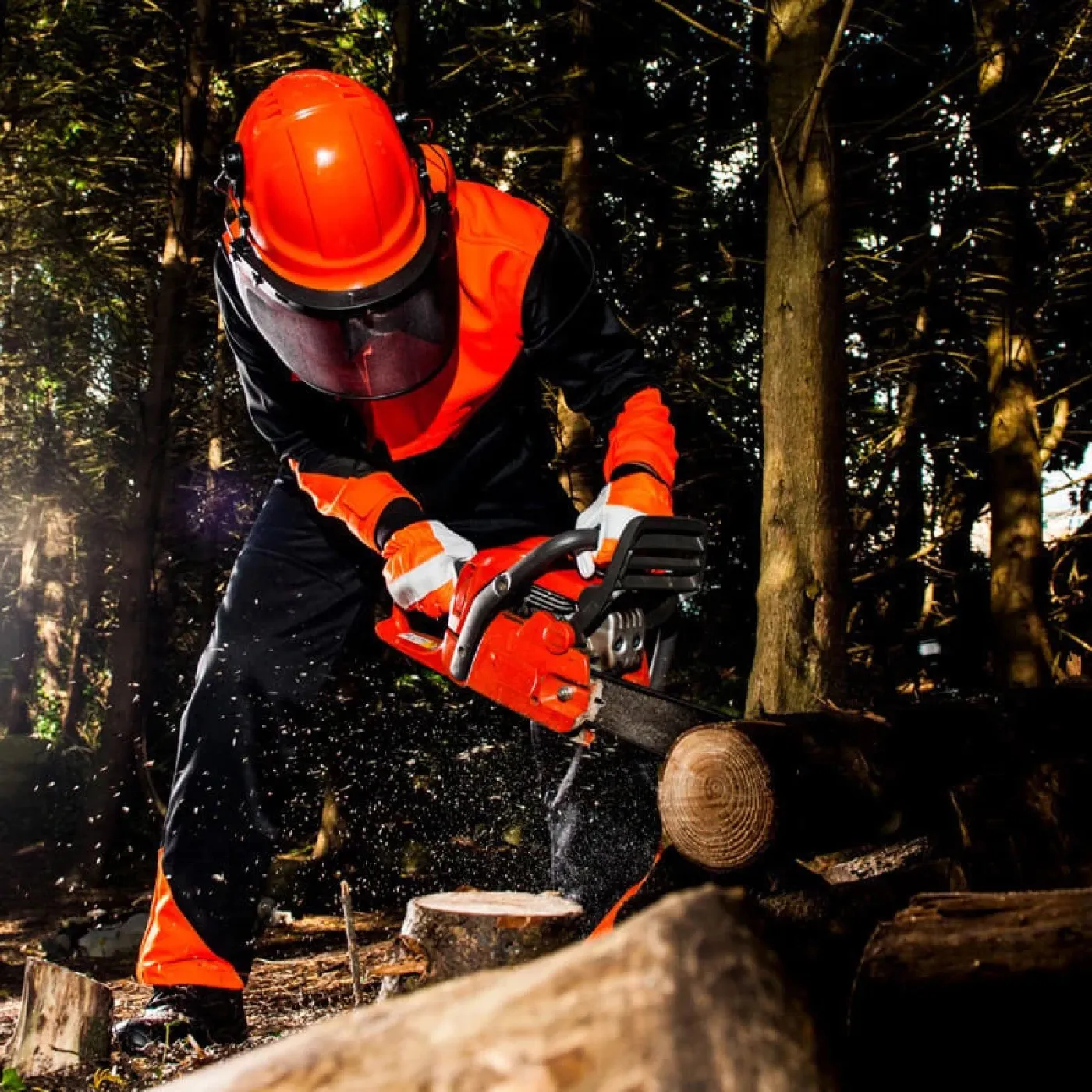 CH12 - Salopetă Oak pentru forestieri / Portwest / Îmbrăcăminte forestieri, lucrul cu motofierăstrăul