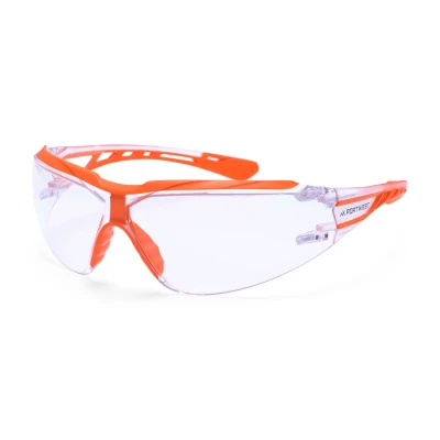 PS10 - Ochelari de protecție Mega KN / Portwest / Ochelari de protecție cu lentile transparente