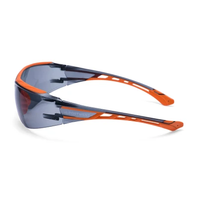 PS10 - Ochelari de protecție Mega KN / Portwest / Ochelari de protecție cu lentile transparente