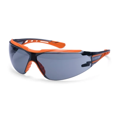 PS10 - Ochelari de protecție Mega KN / Portwest / Ochelari de protecție cu lentile transparente