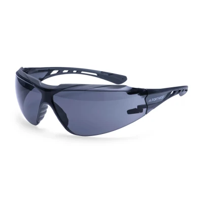 PS10 - Ochelari de protecție Mega KN / Portwest / Ochelari de protecție cu lentile transparente